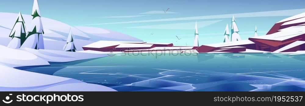 Frozen pond or lake in winter forest nature landscape. Scenery view with snow drifts, rocks, fir-trees and gulls. Slippery water surface with ice calm panoramic background Cartoon vector illustration. Frozen pond or lake in winter forest landscape