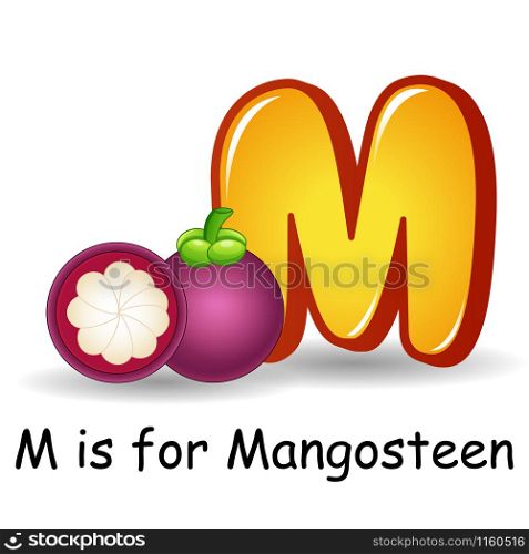Fruit alphabet: M is for Mangosteen