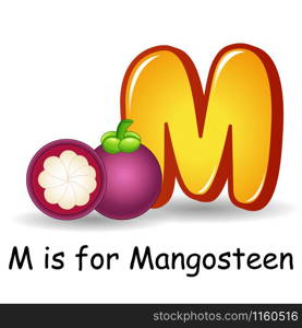 Fruit alphabet: M is for Mangosteen