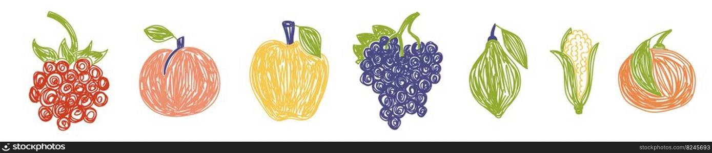Fruit and berry bundle. Raspberry, peach and apple. Grape, lime, corn and orange. Color illustration collection. Vector set. Pen or marker doodle drawing.. Fruit and berry bundle. Raspberry, peach and apple. Grape, lime, corn and orange. Color illustration collection. Vector set. Pen or marker doodle drawing