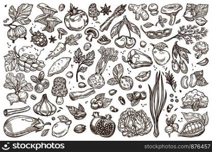 Fruit and vegetables monochrome sepia sketches big set. natural products grown at farm outline templates. Organic nutritious vegetarian food isolated cartoon flat vector illustrations collection.. Fruit and vegetables monochrome sepia sketches big set