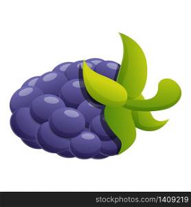 Fruit blackberry icon. Cartoon of fruit blackberry vector icon for web design isolated on white background. Fruit blackberry icon, cartoon style