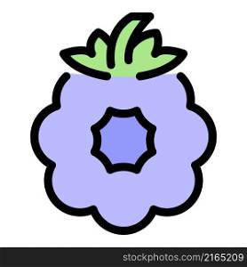Fruit blackberry icon. Outline fruit blackberry vector icon color flat isolated. Fruit blackberry icon color outline vector