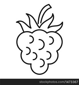 Fruit blackberry icon. Outline fruit blackberry vector icon for web design isolated on white background. Fruit blackberry icon, outline style