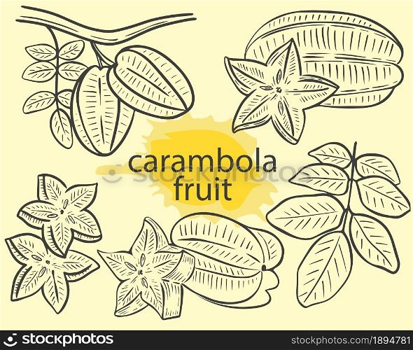 Fruit carambola whole, on a branch with leaves and pieces of stars sketch. Hand engraved exotic tropical fruit star carambolla set. Vintage vector illustration.. Fruit carambola whole, on a branch with leaves and pieces of stars sketch.