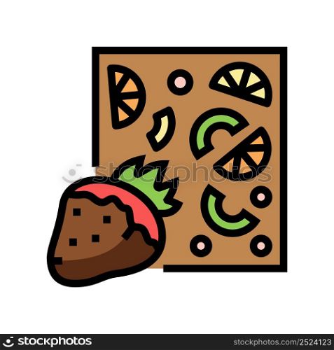 fruit chocolate color icon vector. fruit chocolate sign. isolated symbol illustration. fruit chocolate color icon vector illustration