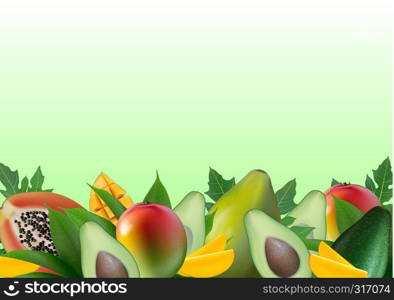 Fruit creative template layout made of avocado, mango, papaya and leaves. Food concept background. Space for text. Vector Illustration.