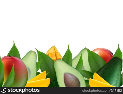 Fruit creative template layout made of avocado, mango, papaya and leaves. Food concept background. Space for text. Vector Illustration.