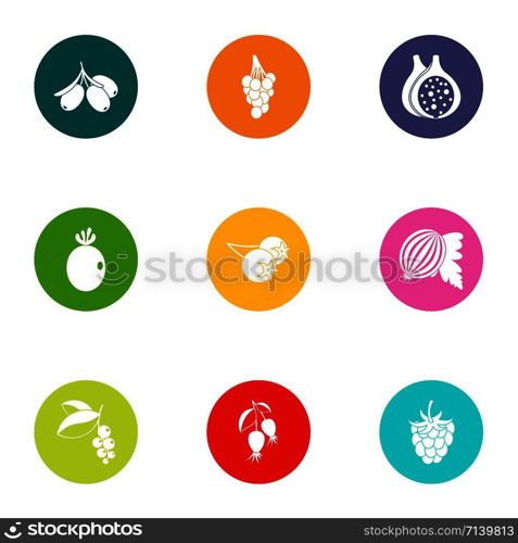 Fruit grocery icons set. Flat set of 9 fruit grocery vector icons for web isolated on white background. Fruit grocery icons set, flat style