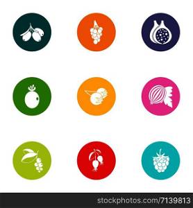 Fruit grocery icons set. Flat set of 9 fruit grocery vector icons for web isolated on white background. Fruit grocery icons set, flat style