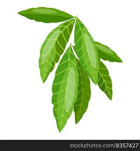 Fruit leaves icon cartoon vector. Summer leaf. Garden tree. Fruit leaves icon cartoon vector. Summer leaf