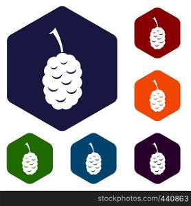 Fruit of mulberry icons set hexagon isolated vector illustration. Fruit of mulberry icons set hexagon