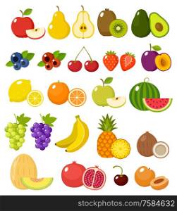 Fruit on a white background isolated. Vector illustration