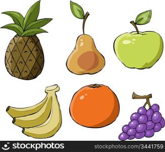 Fruit on a white background, vector illustration