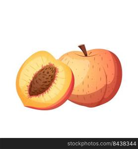 fruit peach cartoon vector. juicy nectarine, fresh slice, yellow orange food, red laf, cut organic sweet fruit peach. isolated color illustration. fruit peach cartoon vector