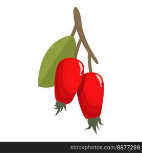 Fruit rosehip icon cartoon vector. Berry food. Ripe wild. Fruit rosehip icon cartoon vector. Berry food