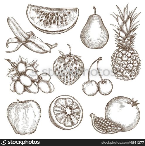 Fruit, sketches, hand drawing, vector set