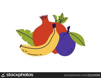 Fruit still life. Banana, plum and pomegranate. Color illustration vector set.. Fruit still life. Banana, plum and pomegranate. Color illustration vector set