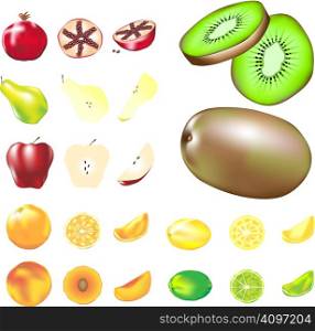Fruit - whole, slices, and wedges - in vector illustration. Set includes common types plus kiwi and pomegranate.