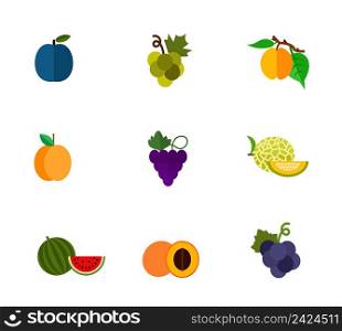 Fruits and berries icon set. Plum Green grape Apricot on branch Apricot Grape branch Melon Watermelon Cut apricot Dark grape