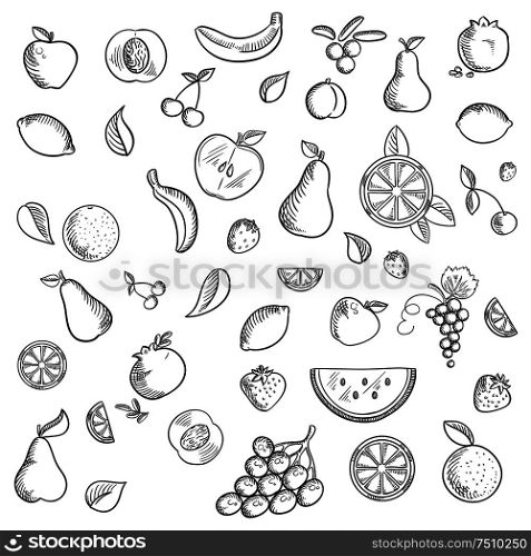 Fruits and berries sketched icons with whole and sliced apples, bananas, pears, apricots, pomegranates lemons oranges cherries grapes, strawberries, cranberries and watermelon. Sketch style. Fruits and berries sketched icons set