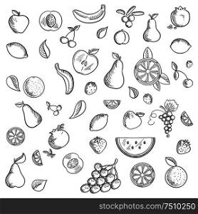 Fruits and berries sketched icons with whole and sliced apples, bananas, pears, apricots, pomegranates lemons oranges cherries grapes, strawberries, cranberries and watermelon. Sketch style. Fruits and berries sketched icons set