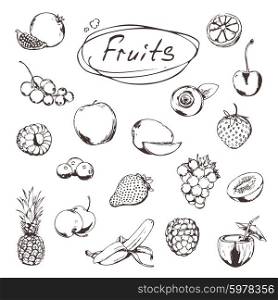 Fruits and berries, sketches of icons vector set
