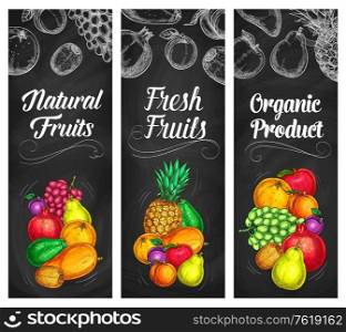 Fruits banners, chalkboard sketch farm garden food, vector orange, pineapple and mango. Tropical papaya, grapefruit citrus and grape, plum and pear, apple, pomegranate and kiwi fruits on chalk board. Fruits banners, chalkboard sketch farm garden food