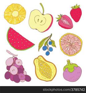 Fruits collection. Set of tropical fruit. Hand drawn Vector illustration.