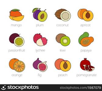 Fruits color icons set. Realistic sliced tropical and summer fruits. Grocery store and restaurant menu symbols. Peeled lychee and cutted in half apricot with seed. Isolated color vector illustrations. Fruits color icons set