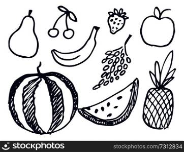Fruits hand drawn elements, colorless sketch, pear and watermelon, cherries and grapes, strawberries and pineapple, isolated on vector illustration. Fruits Hand Drawn Elements Vector Illustration