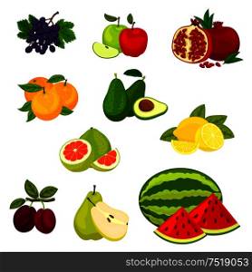Fruits icons. Isolated vector fresh fruits grape, apple, pomegranate, orange, avocado, lemon pomelo lemon plum pear watermelon. Fresh fruits isolated vector icons set.