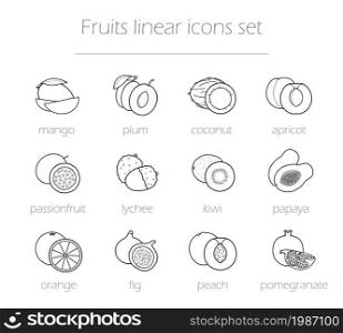 Fruits linear icons set. Realistic natural sliced fruits line art illustrations with signs. Vector outline drawing symbols isolated on white. Fruits linear icons set