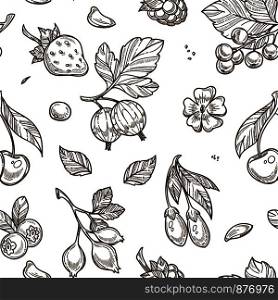 Fruits raspberries and berries monochrome sketches outline, seamless pattern vector. Flora and vegetation, leaves and berries, cranberry and foliage, flower blooming plant. Strawberry and cherry. Fruits raspberries and berries sketches seamless pattern vector