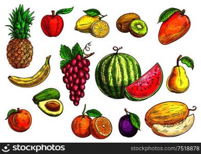 Fruits set. Sketch hand drawn illustration of isolated vector tropical and exotic fruits. Color drawings of pineapple, banana, apple, avocado, peach, red grape, lemon, orange, watermelon, kiwi, plum, mango pear melon. Hand drawn sketch of tropical and exotic fruits.