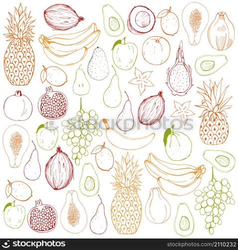 Fruits. Vector background.