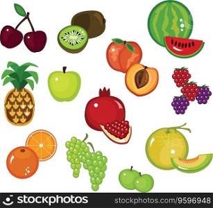 Fruits vector image