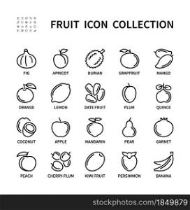 Fruits vector linear icons. Simple set of healthy food. Fig, banana, lemon, apple, mango, orange, peach, durian and more. Isolated collection of fruit icon for web sites and mobile.. Fruits simple set of healthy food. Isolated icon collection on white background. Fruit icon symbol vector set.