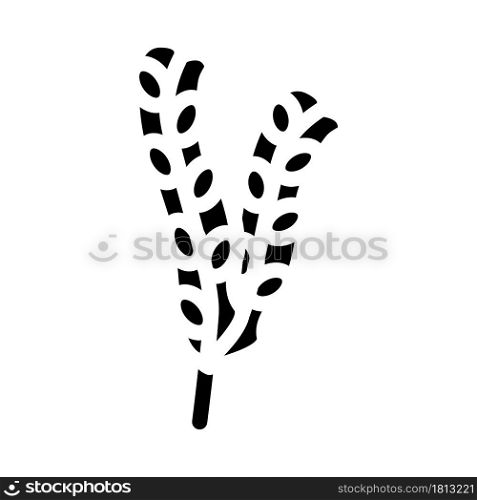 fucus vesiculosus seaweed glyph icon vector. fucus vesiculosus seaweed sign. isolated contour symbol black illustration. fucus vesiculosus seaweed glyph icon vector illustration