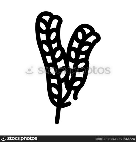 fucus vesiculosus seaweed line icon vector. fucus vesiculosus seaweed sign. isolated contour symbol black illustration. fucus vesiculosus seaweed line icon vector illustration