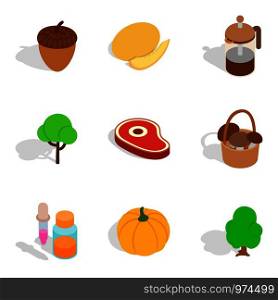 Full belly icons set. Isometric set of 9 full belly vector icons for web isolated on white background. Full belly icons set, isometric style