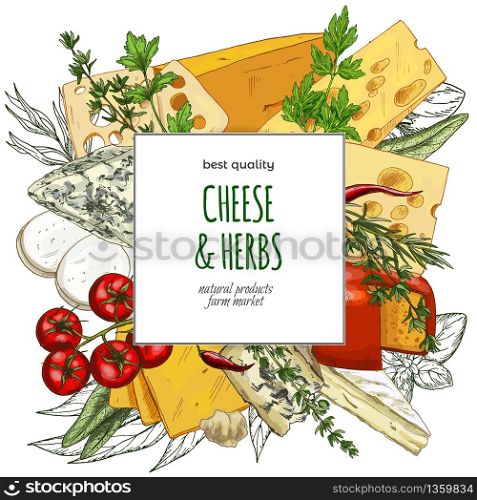 Full color realistic cheese banner, hand drawn vector sketch illustration, poster design for restaurants.