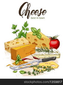 Full color realistic sketch illustration of cheese and herbs with basil and tomatoes, vector food illustration.