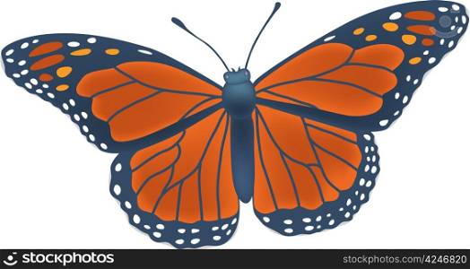 Full detailed Monarch butterfly
