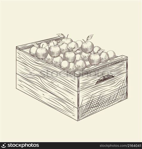 Full of fresh apple wooden crate box. Box of apples. Harvest storage vintage engraved style. Vector illustration.. Full of fresh apple wooden crate box. Box of apples.