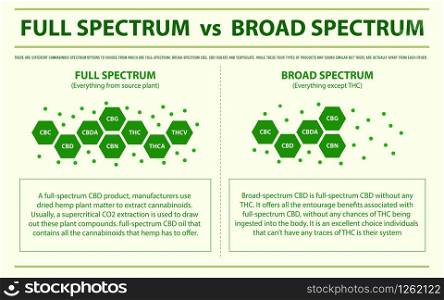 Full Spectrum vs Broad Spectrum horizontal infographic illustration about cannabis as herbal alternative medicine and chemical therapy, healthcare and medical science vector.