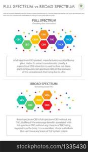 Full Spectrum vs Broad Spectrum vertical business infographic illustration about cannabis as herbal alternative medicine and chemical therapy, healthcare and medical science vector.
