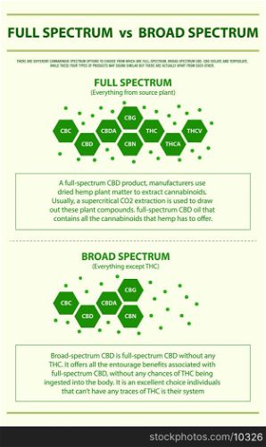 Full Spectrum vs Broad Spectrum vertical infographic illustration about cannabis as herbal alternative medicine and chemical therapy, healthcare and medical science vector.