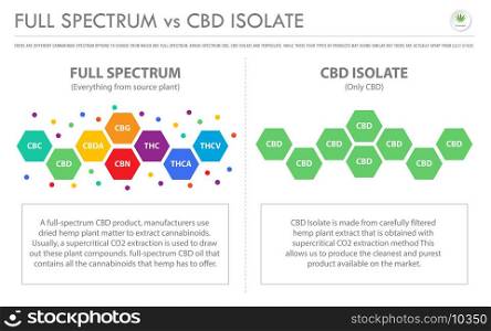Full Spectrum vs CBD Isolate horizontal business infographic illustration about cannabis as herbal alternative medicine and chemical therapy, healthcare and medical science vector.