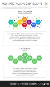 Full Spectrum vs CBD Isolate vertical business infographic illustration about cannabis as herbal alternative medicine and chemical therapy, healthcare and medical science vector.